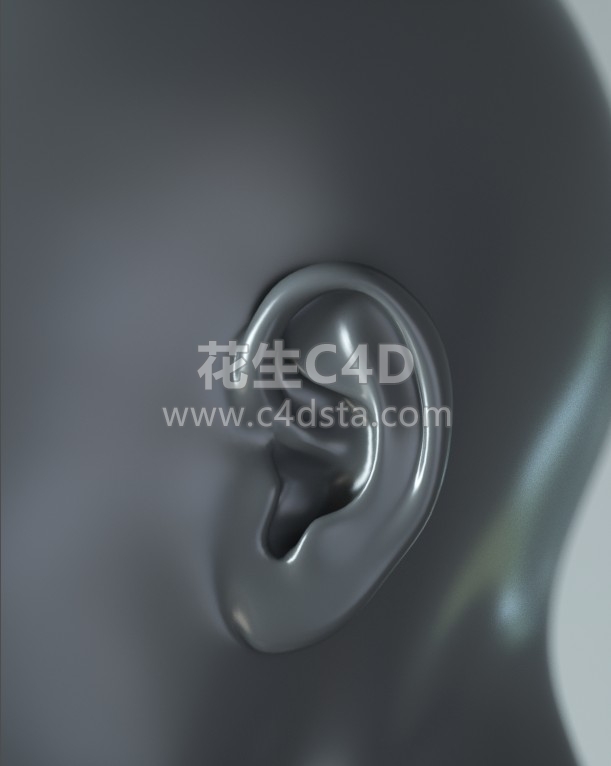 三维模型：人体耳朵特写精模 C4D格式 626CG资源站